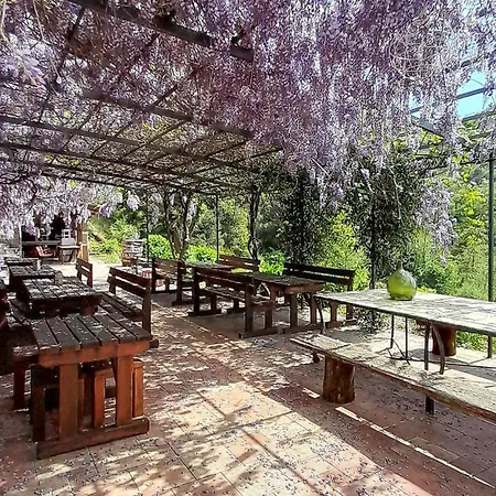 Beautiful In كاسارزا ليغير